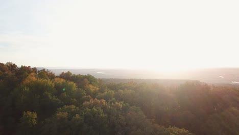 Drone-flying-forward-against-the-sun-above-the-mountain-trees