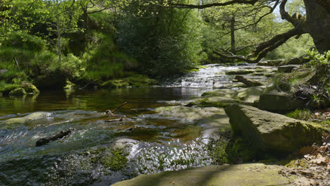 wonderful wyming brook nature reserve, near sheffield yorkshire, uk