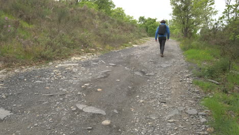 Joven,-Mochilero-Haciendo-Senderismo-En-La-Carretera-De-Montaña,-Concepto-De-Viaje-De-Aventura,-Excursionista-Haciendo-Senderismo