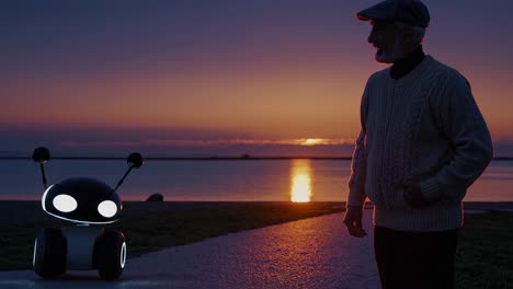 elderly man and robot at sunset