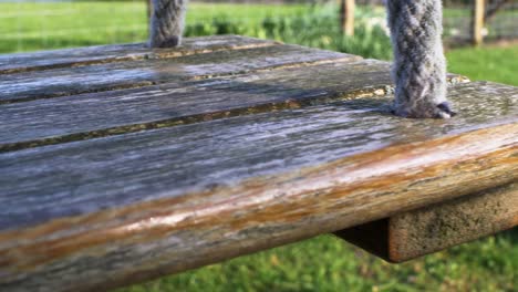 close up view of wooden swing seat gently swaying in the wind