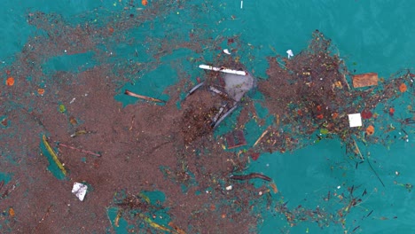 Closeup-top-down-overview-of-broken-plastic-beach-chair-and-natural-leafy-debris-floating-in-ocean-water