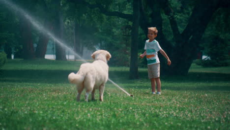 Little-boy-play-water-sprinkler-on-green-field-with-playful-golden-retriever