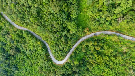 aerial view of road on mountains and forest.