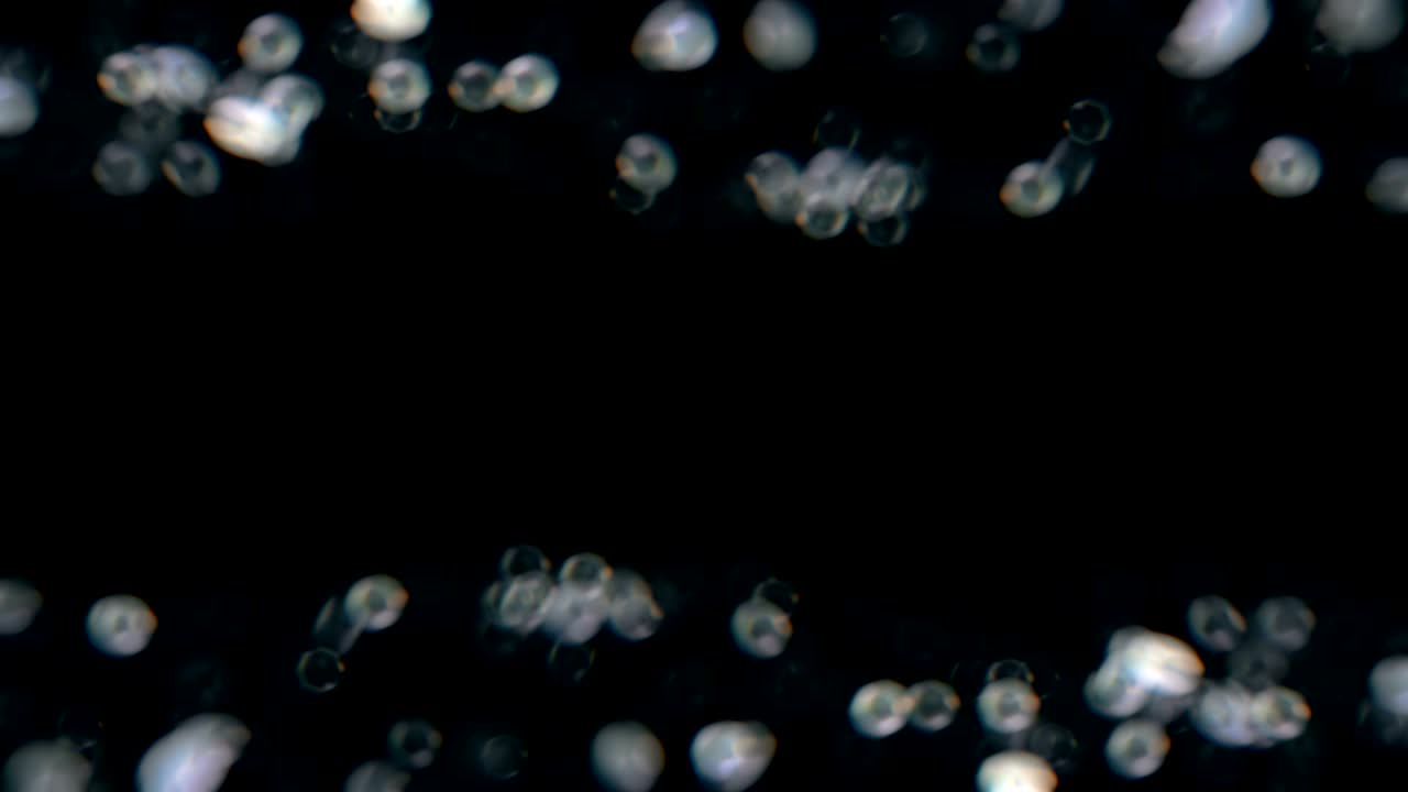 실버 보케 (silver bokeh) 불투명한 조명과 함께 흐릿한 추상적인 크리스마스 배경의 고품질 애니메이션.