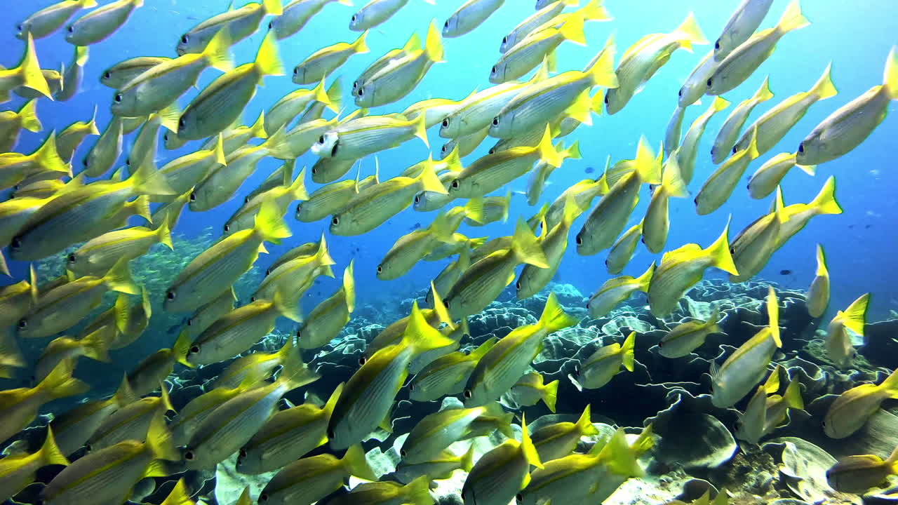 너희 모두 중에서 가장 먼저 태어난 사람은 누구인가?