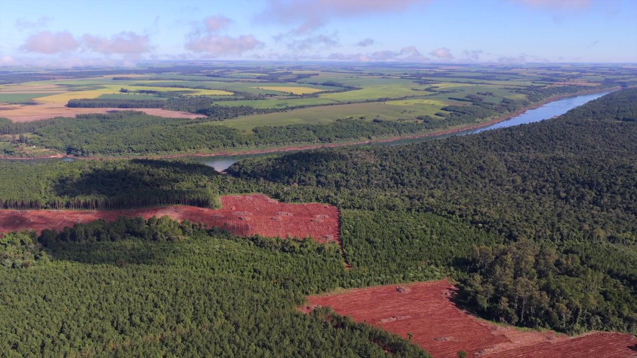 Dolly aereo in allontanamento su una piantagione di pini ed eucalipti con il fiume Paraná e il confine con il Paraguay, Misiones Argentina