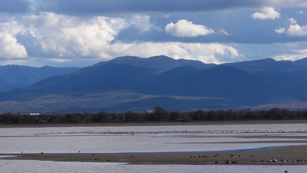 Tranquil lake scene with birds, serene mountain backdrop, and dynamic cloudy skies in captivating stock footage