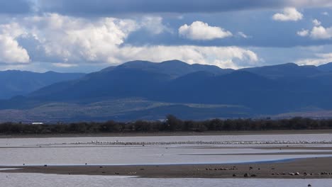 tranquil lake scene with birds, serene mountain backdrop, and dynamic cloudy skies in captivating stock footage