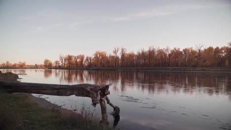 Río-Tranquilo-Con-árboles-De-Otoño-En-El-Fondo