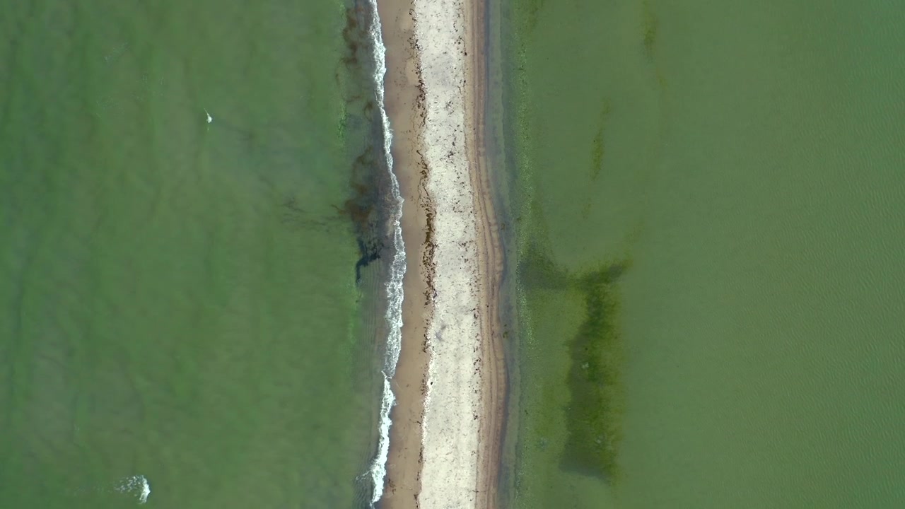 Riprese aeree con drone di un banco di sabbia nella Baia di Puck. La prospettiva dall'alto mette in risalto i motivi unici delle acque poco profonde e delle formazioni sabbiose di Rybitwia Mielizna.