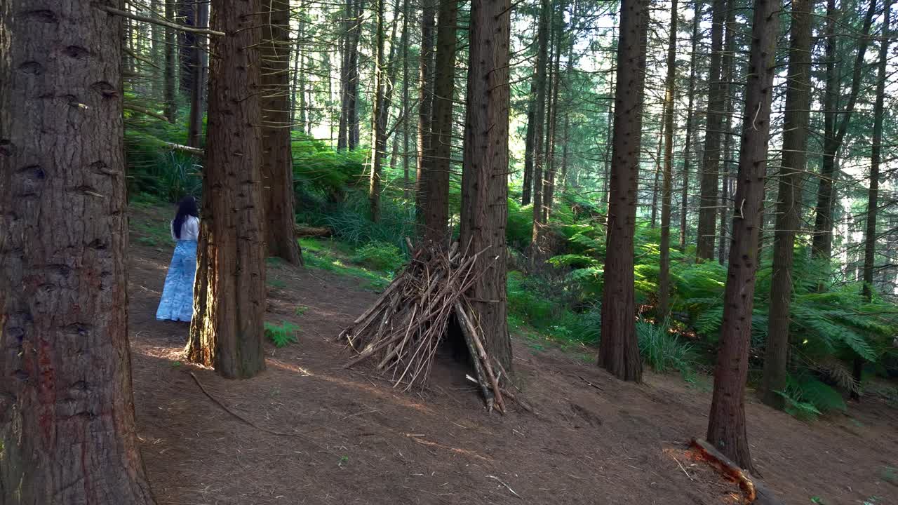 Esplora una foresta tranquilla a Woolrich Park, Melbourne. Felci verdeggianti e alberi imponenti creano un'ambientazione naturale pacifica. Nessuna persona, atmosfera calma, perfetta per il relax.