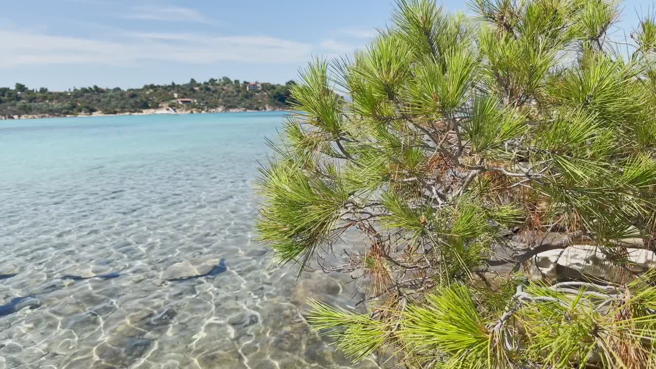 Clean blue flag beaches of Halkidiki Peninsula, Greece