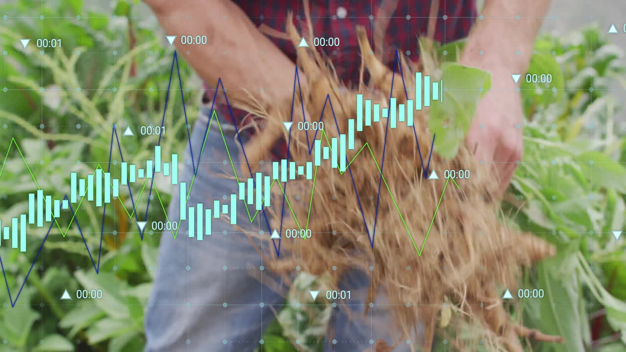재무 데이터 차트 - 농부들이 에서 수확하는 것을 보여주는 애니메이션