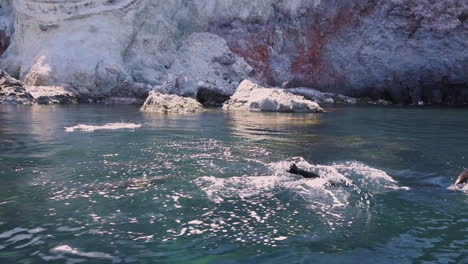 Beautiful-shot-of-sea-lions-swimming-and-jumping-out-of-ocean-in-Baja-California-Mexico-3