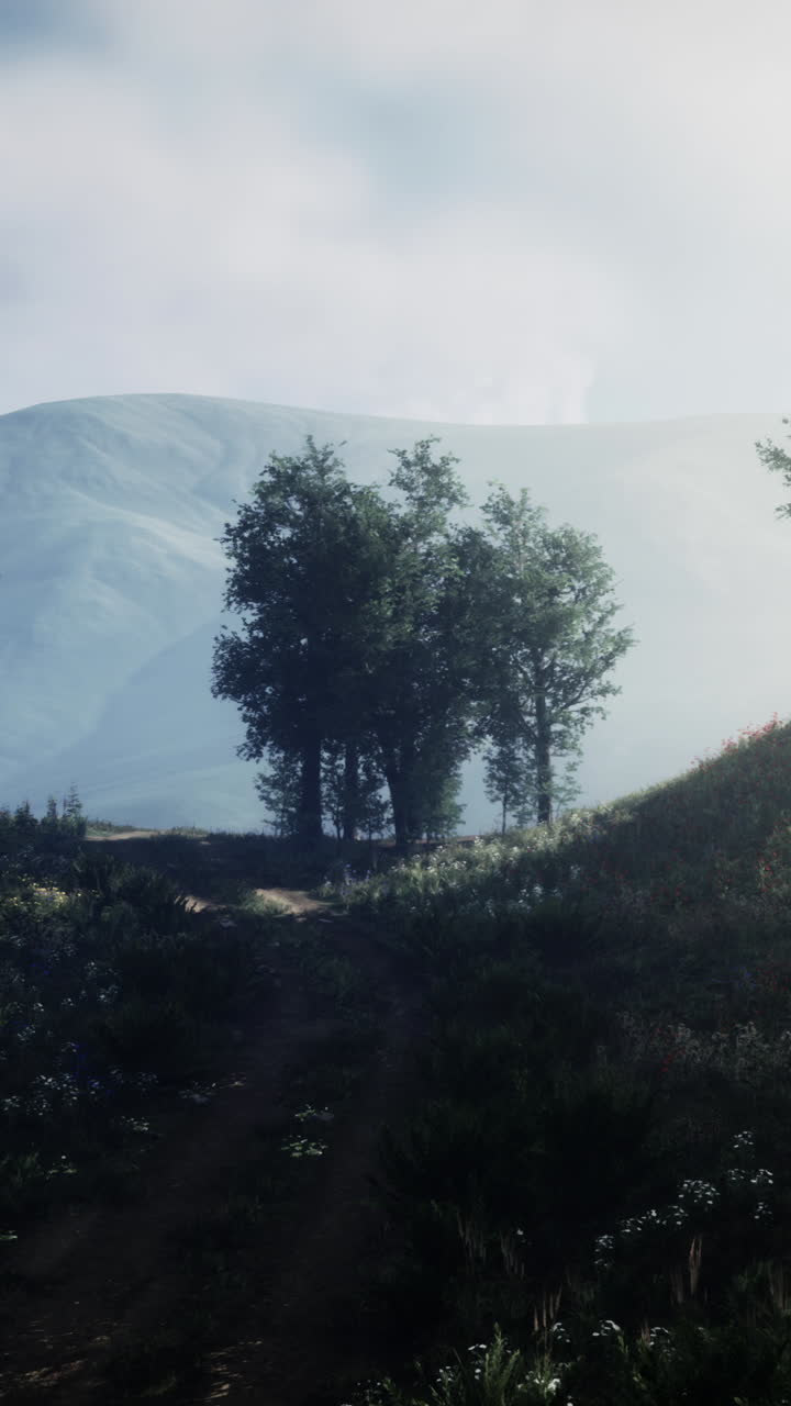 mañana brumosa en las montañas