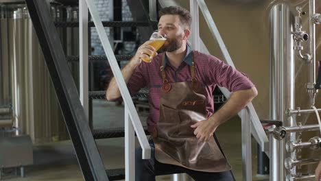 young brewer wearing a leather apron is tasting beer at a modern brewery