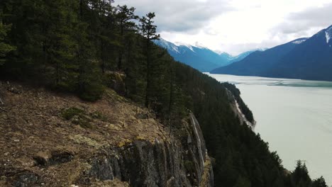 drone shot along trees at lillooet lake in british columbia, canada