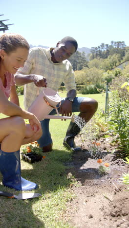vertical video: watering plants in garden, smiling couple enjoying gardening together outdoors