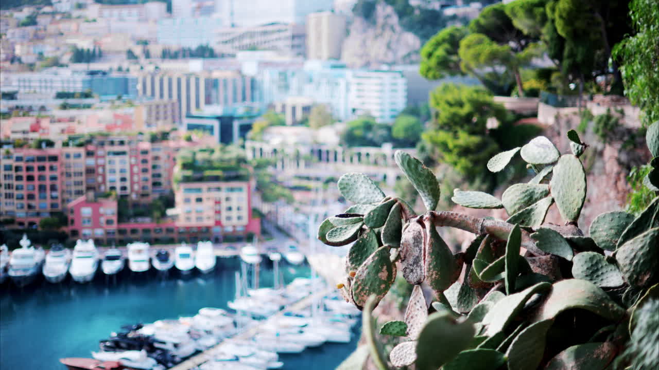 Blurry view of boats docked in the Port de Fontvieille in Monaco
