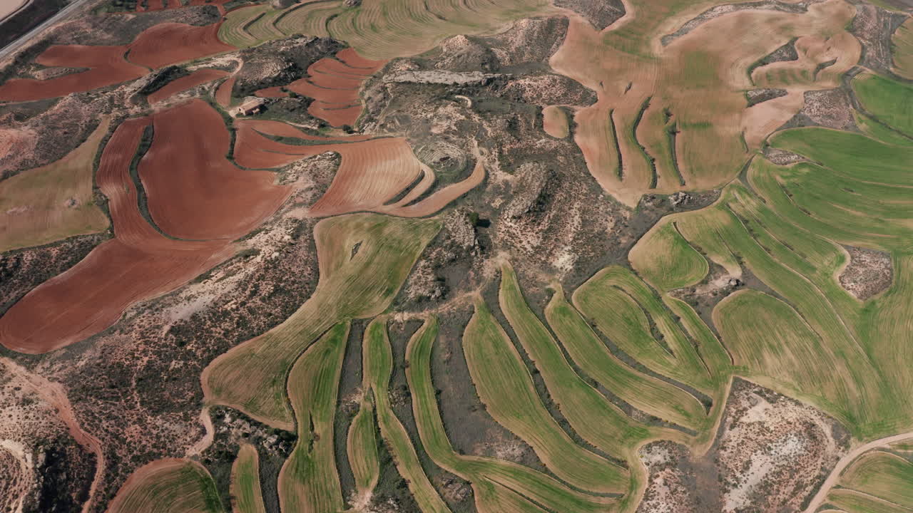 추상적인 배경: 녹색 풀과 은 토양 스페인 농업 풍경