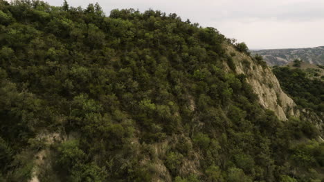 wooded hilltop in vashlovani, georgia, bushy semi-desert steppe beyond