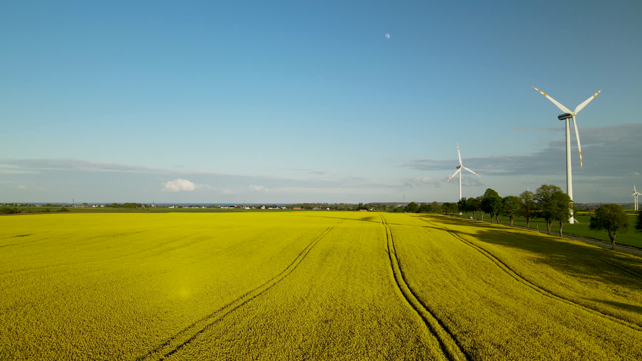 황금시간대에 보름달이 뜬 푸른 하늘을 배경으로 노란 유채밭과 풍력 터빈 농장 위로 무인 항공기가 뒤로 비행합니다.