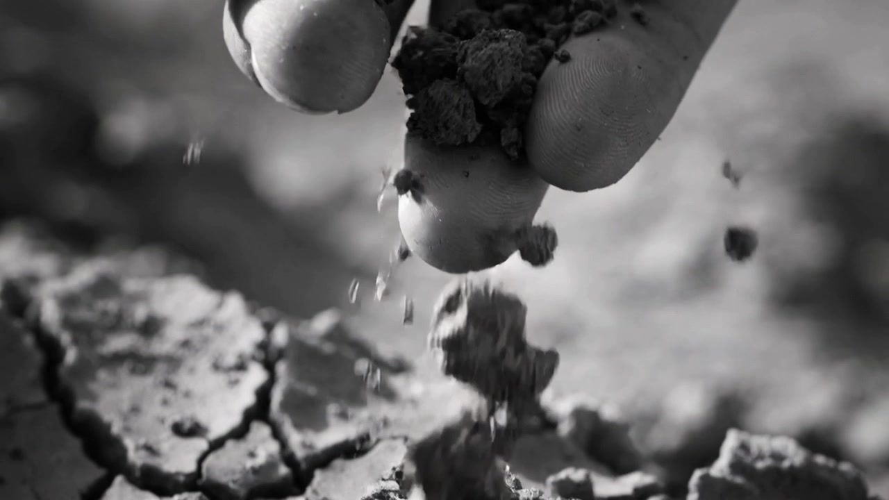 Squeezing adult hand releasing compacted soil fragments over cracked ground, checking soil dryness