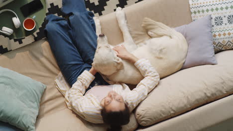 woman petting cute dog on sofa at home