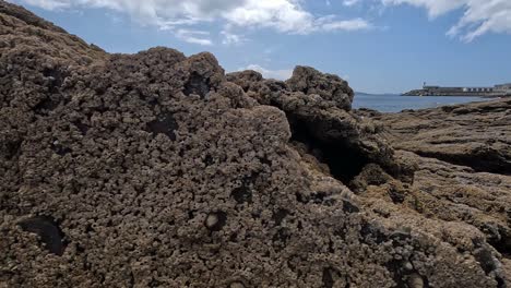 Detrás-De-Las-Rocas-Del-Acantilado-Cubiertas-De-Crustáceos-Aparece-Una-Antigua-Fábrica-De-Conservas-De-Pescado-Al-Borde-Del-Mar-Para-Facilitar-La-Logística,-Día-Con-Nubes-Brillantes,-Tiro-Inclinado