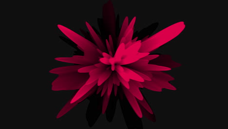 A-Red-Abstract-Flower-With-Black-Background