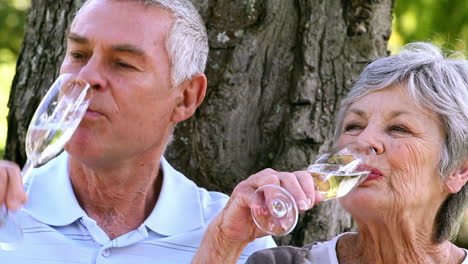 una pareja de mayores relajándose en el parque juntos tomando champán.