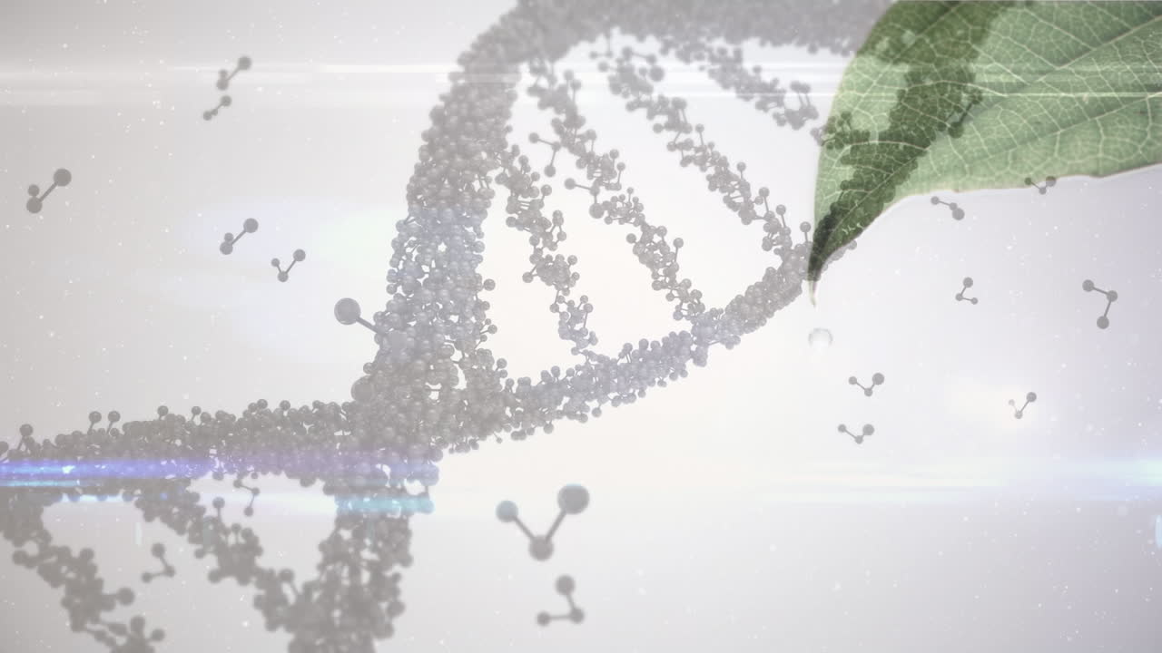 Animazione di strutture di DNA e molecolari su un primo piano di foglie su sfondo grigio.