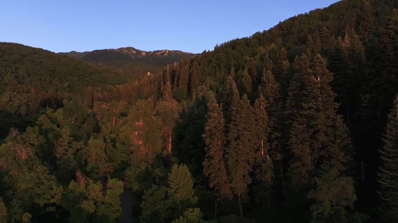 Ripresa aerea con drone che si allontana gradualmente dal Bountiful Canyon nello Utah in una limpida sera d'estate, con la luce dorata che illumina i pini verdi e una strada asfaltata che sale sul canyon
