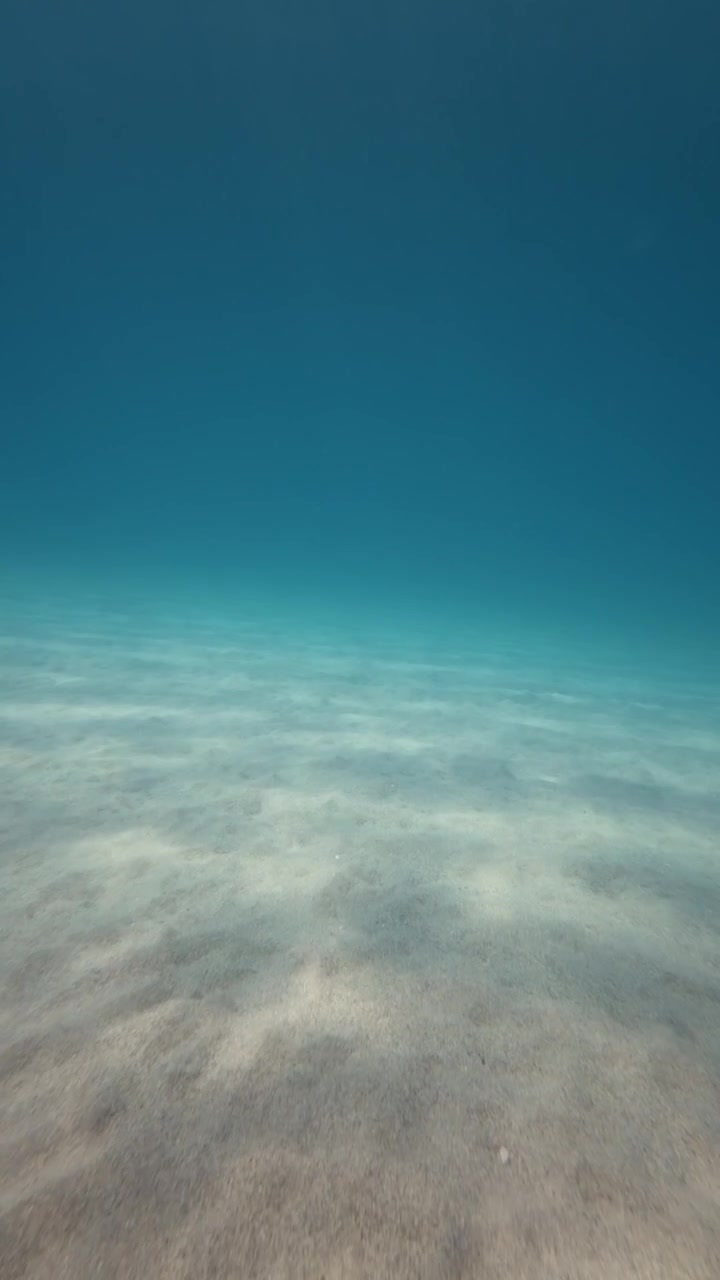 Empty rippled sand bottom fading into deep blue water
