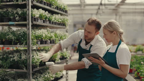 greenhouse workers managing plant inventory