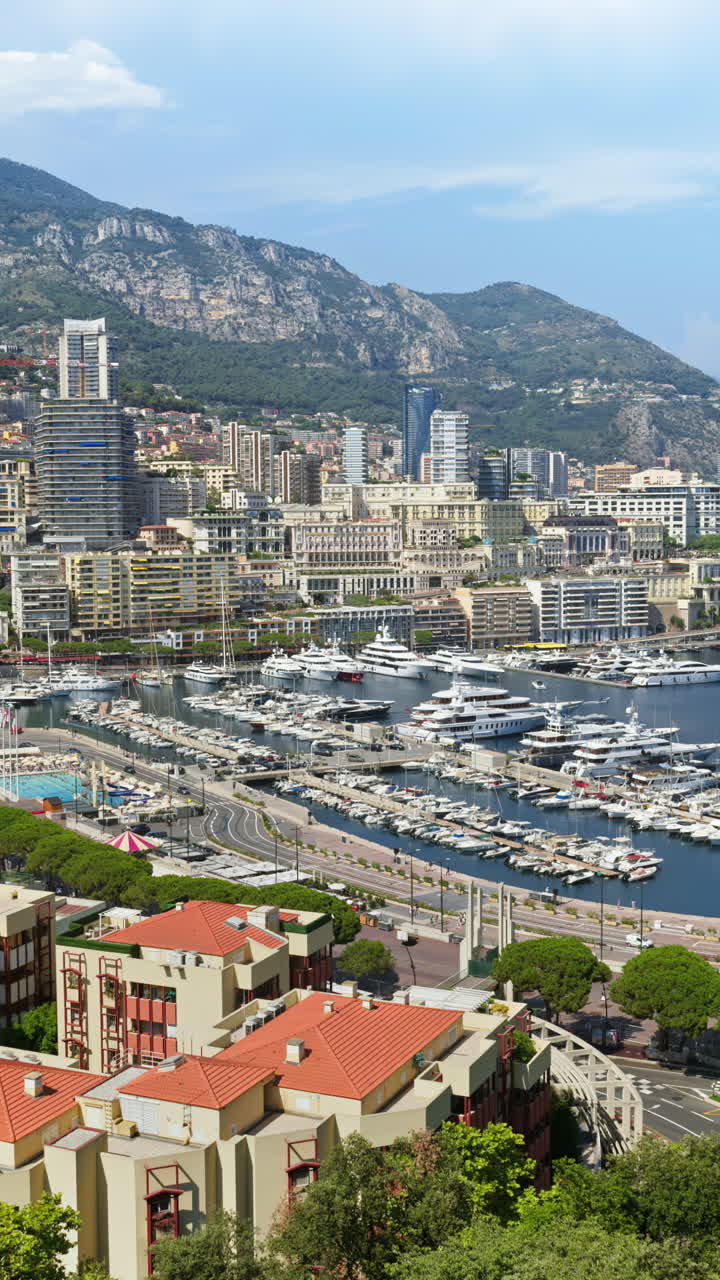 Vista aerea delle barche ormeggiate nel porto turistico di Monaco con lo skyline della città sullo sfondo. Verticale
