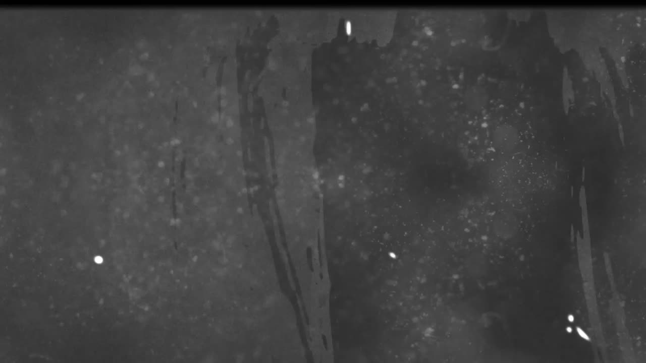 animación de múltiples manchas que se mueven en movimiento hipnótico en un fondo gris angustiado