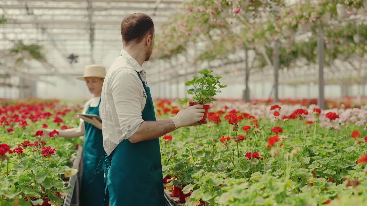 Giardinieri che lavorano in una serra moderna
