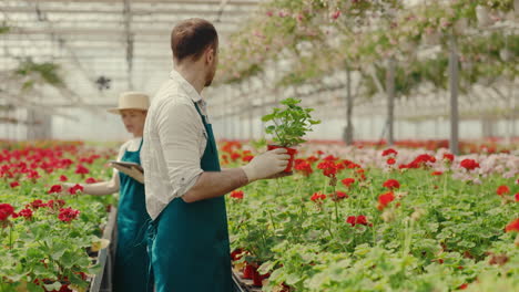 gardeners working in a modern greenhouse