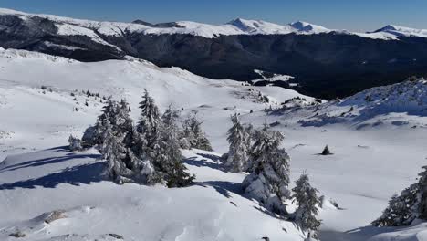 Winter-landscape-of-Bucegi-Mountains-with-snow-covered-trees-and-peaks,-clear-blue-sky