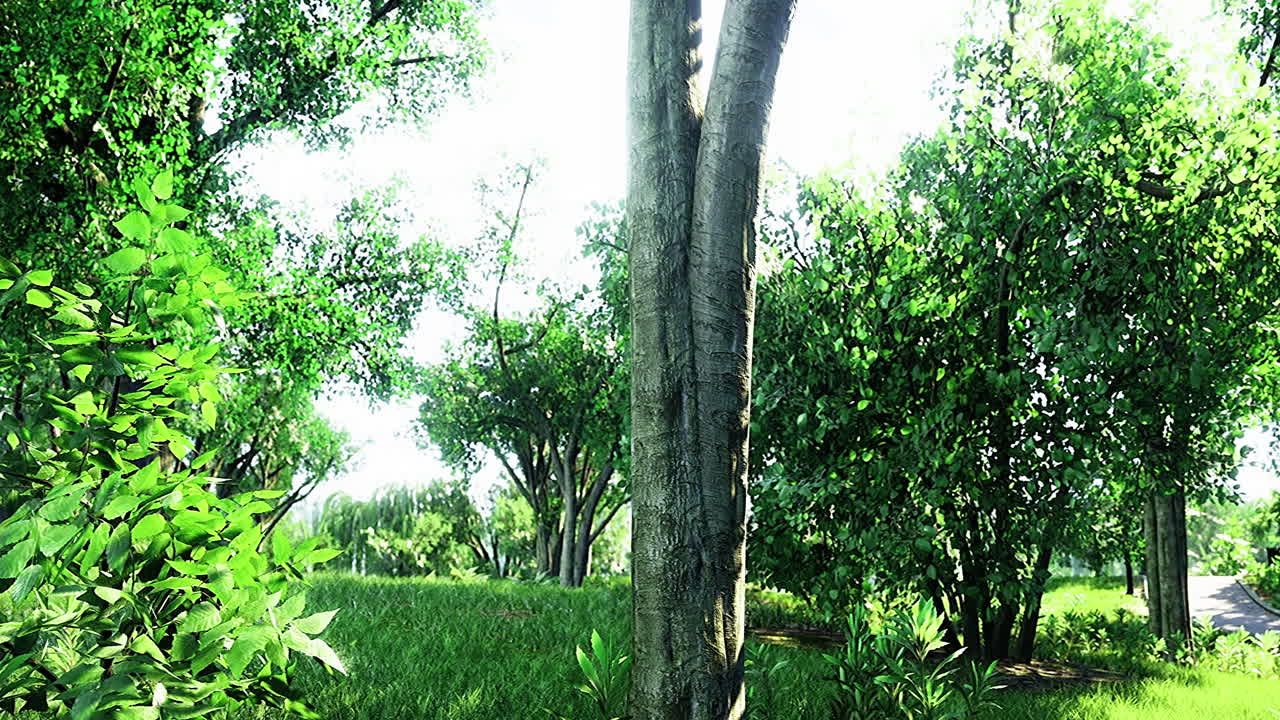 Lush green landscape with vibrant trees under a bright sunny sky