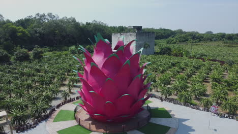 aerial drone view of a dragon fruit plantation in bagan lalang, malaysia