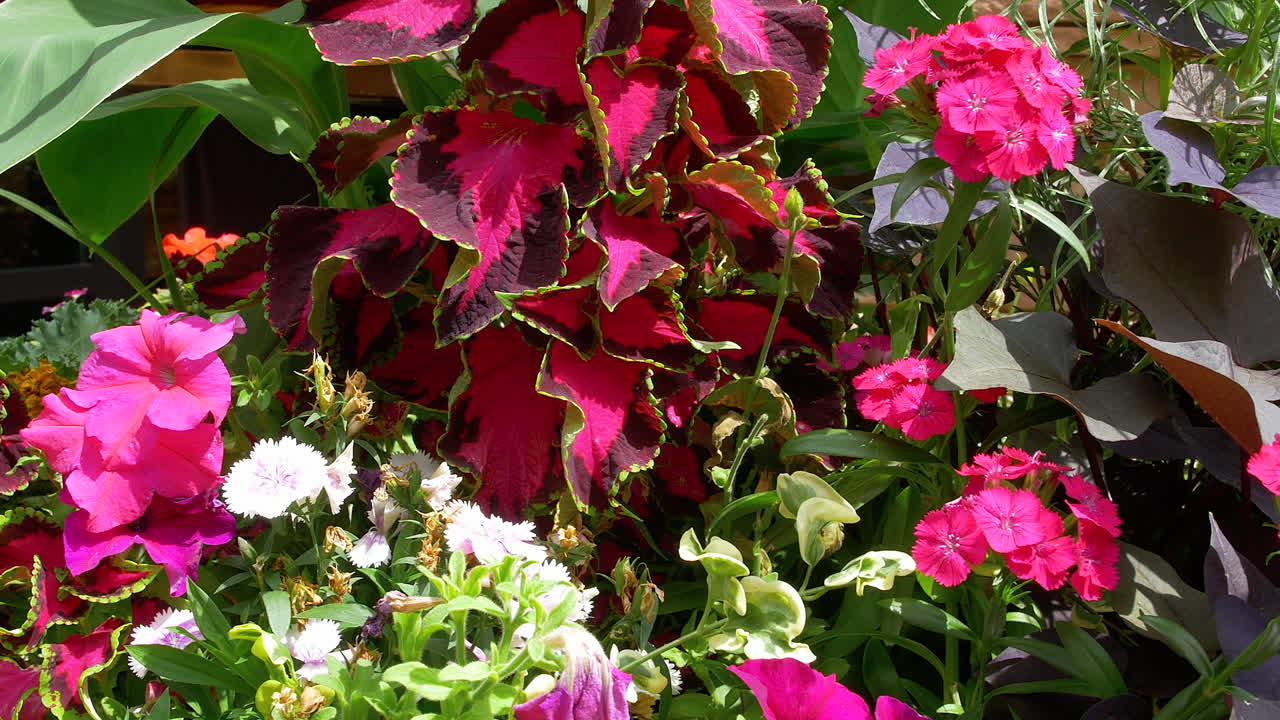 Arreglo floral precioso