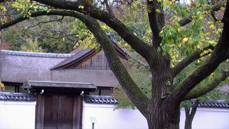 entrada amurallada al jardín japonés y a la casa en otoño