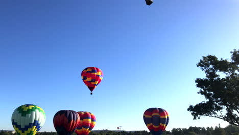 hot air balloons preparing for liftoff, tilt