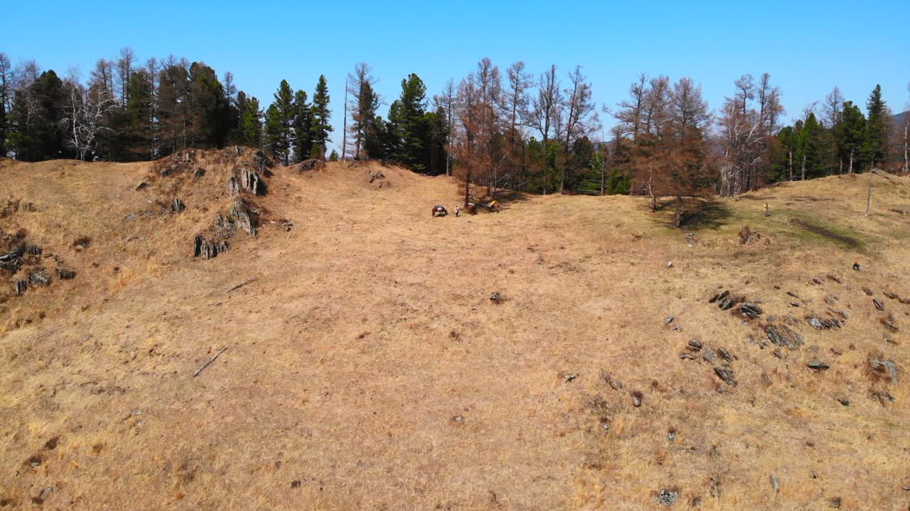 Dry Grassy Mountain Landscape with Horses and Trees