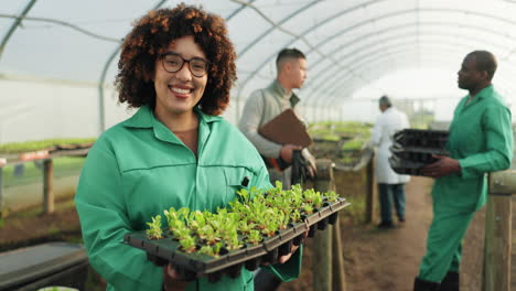 Woman,-tray-and-seedlings-in-greenhouse