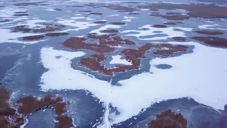 Aerial-birdseye-view-of-frozen-lake-Liepaja-during-the-winter,-blue-ice-with-cracks,-dry-yellowed-reed-islands,-overcast-winter-day,-wide-orbiting-drone-shot