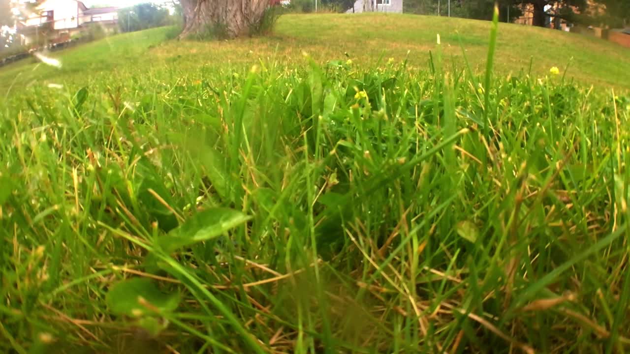 지하 스프링클러 헤드가 올라와 카메라에 분사하는 클로즈업 샷